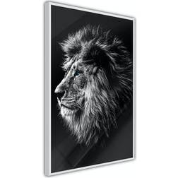 Arkiio Affisch Blue-eyed Lion [Poster] 20x30 Poster